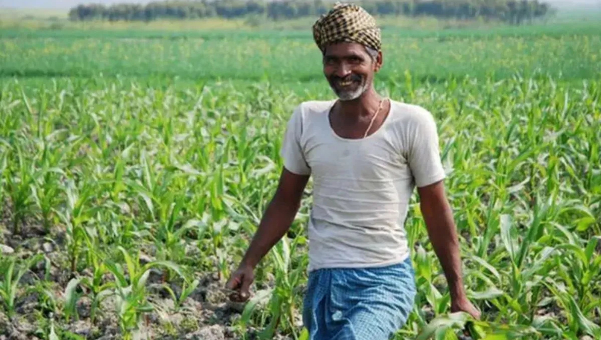 Pradhan Mantri Dhan-Dhanya Krishi Yojana: किसानों के लिए उम्मीद की नई किरण